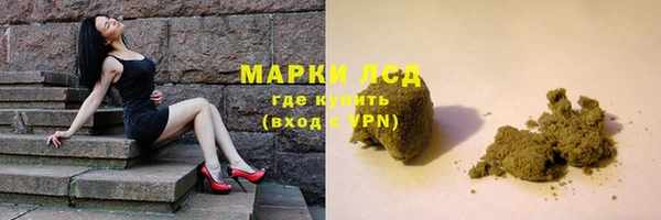 индика Алексин