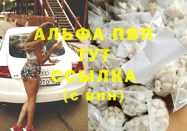 гашик Абинск