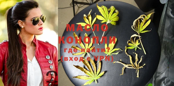 тгк Абаза