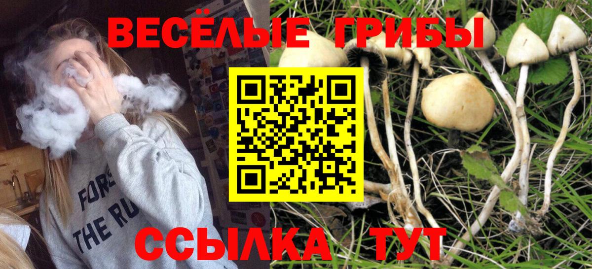 Псилоцибиновые грибы Psilocybe  Вход с VPN  Волоколамск 